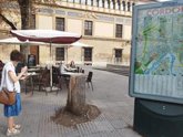 Foto: La iniciativa 'Aquí falta un árbol-Ecomapa 2026' registra 5.855 alcorques con deficiencias en Córdoba