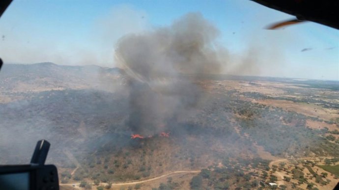 Archivo - Incendio declarado en un paraje de El Almendro. 