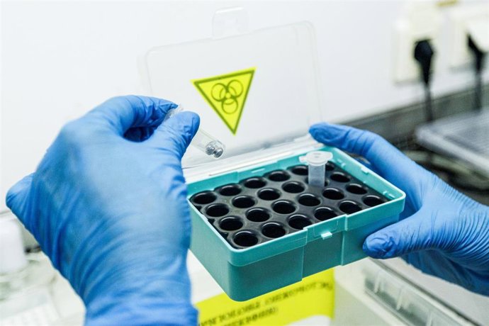 Archivo - Tubos de ensayo en un laboratorio de un Centro de Higiene y Epidemiología ruso en Kaliningrado