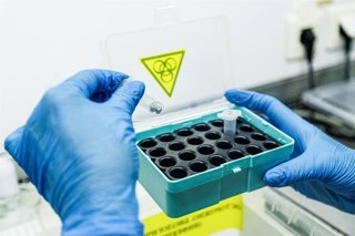 Archivo - RUSSIA, KALININGRAD REGION - MAY 14, 2026: Test tubes with tick samples are seen at a laboratory of the Center of Hygiene and Epidemiology