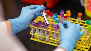 Investigación