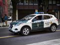 Detenido por simular ser víctima de un atropello tras agredir a su expareja en la Merindad de Tafalla