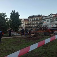 La caída de un árbol de grandes dimensiones obliga a cortar la Avenida das Burgas, en el Campus Sur de Santiago