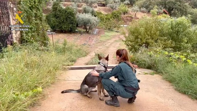 Una guía y un perro del servicio cinológico de la Guardia Civil en el dispositivo de búsqueda del vecino de Losar de la Vera.