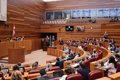 Rechazada la moción del PSOE de la mano de las OPAs tras una votación en urna que los socialistas pidieron pública