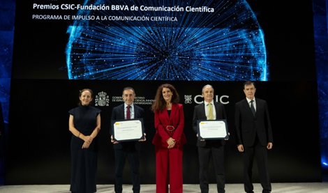 notibrasil sociedade