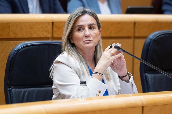 La ministra de Educación, Formación Profesional y Deportes, Milagros Tolón, durante una sesión plenaria en el Senado.