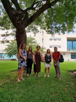 Equipo de la UPV