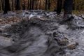 Greenpeace exige que la protección del agua "sea una prioridad" en la gestión después de los incendios