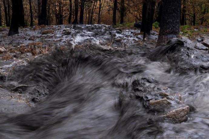 Ceniza y lodo en el río tras el incendio de Burgohondo