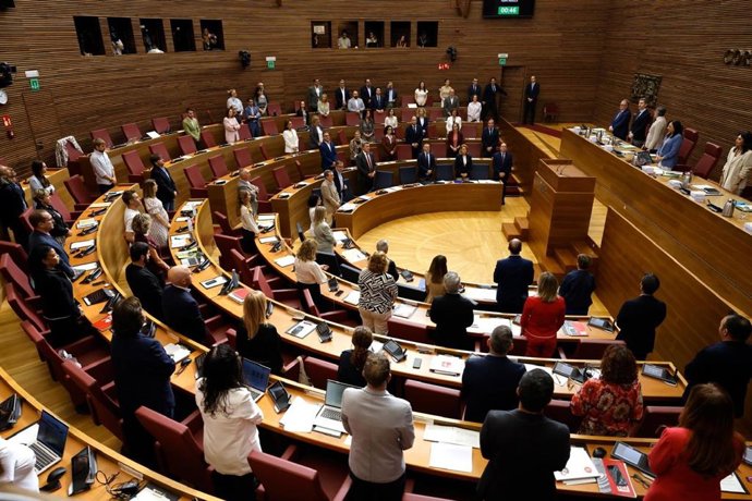 El ple de Les Corts guarda un minut de silenci en memòria de Maricarmen