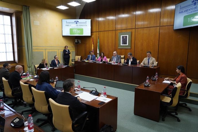 La consejera de Vivienda, Juventud y Ordenación del Territorio, Rocío Díaz, comparece en comisión parlamentaria.