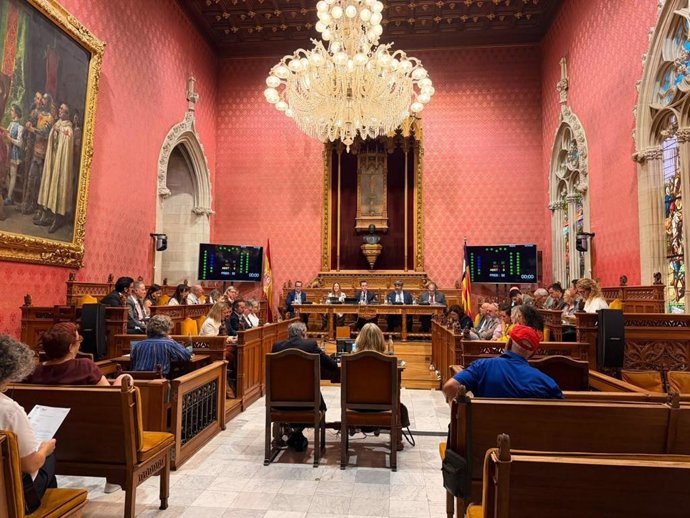 El pleno del Consell de Mallorca, reunido este jueves.