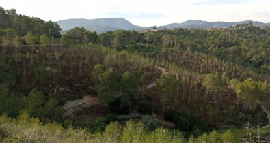 Islas Baleares