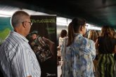 Foto: La Diputación de Sevilla presenta el proyecto 'Guardiam' para promover el uso responsable de las tecnologías en jóvenes