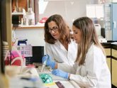Foto: Un traumatismo craneoencefálico puede modificar la respuesta posterior de cerebro al estrés
