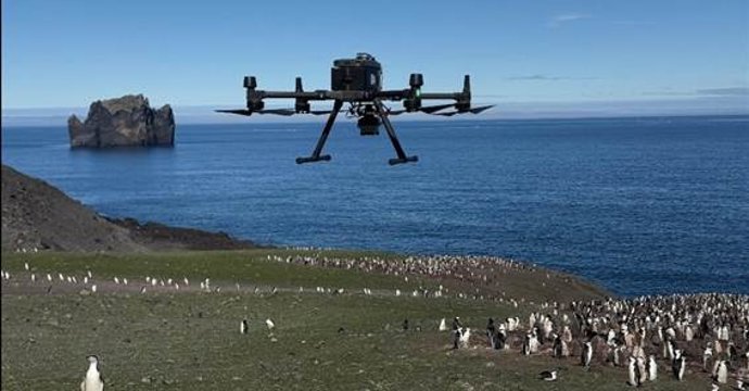 Drone realizando contagem de indivíduos na colônia de pinguins de Vapour Col (Antártida)