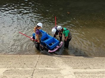 Rescate de peces en el canal de Seròs (Lleida)