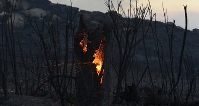 Galicia Rural