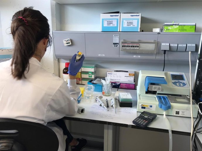 Archivo - Foto recurso tomada en el laboratorio del CIMUS, en Santiago de Compostela. Investigación, Laboratorio, ciencia, I+D+i