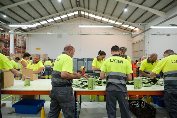 Imagen de trabajadores de UNEI.