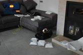 Foto: Desmantelada en Alhendín (Granada) una finca dedicada a procesar y distribuir cocaína a gran escala por toda España