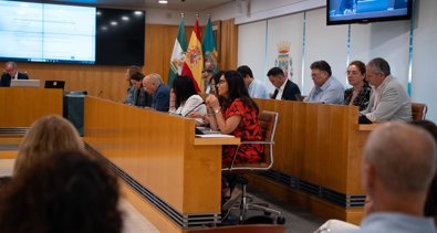 Diputación de Sevilla
