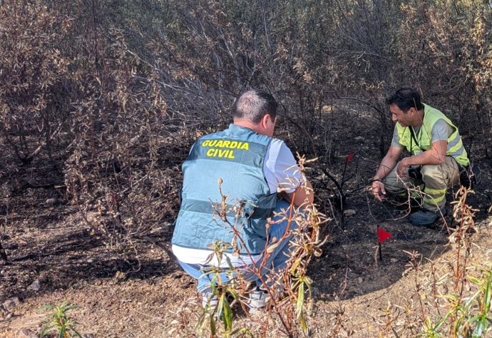 Dos detenidos como supuestos autores de dos incendios forestales en la provincia de Zamora