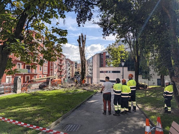 Retirada de un chopo por riesgo de colapso en el Parque de los Hermanos de Barakaldo