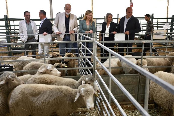 La presidenta de la Diputación de Cádiz, Almudena Martínez (2i), visita la Feria Ganadera de la localidad gaditana de Benaocaz. A 9 de octubre de 2026 en Benaocaz, Cádiz (Andalucía, España).