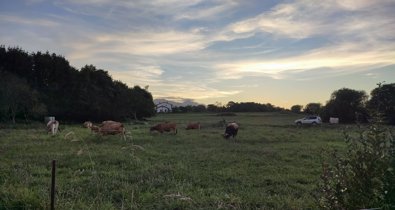 Asturias Rural
