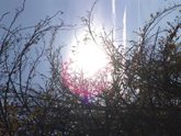 Foto: El tiempo en Extremadura para hoy sábado, 10 de octubre de 2026