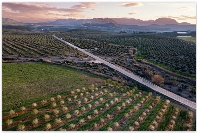La ubetense Katy Gómez logra el II Premio de Fotografía 'El Paisaje Giennense'.