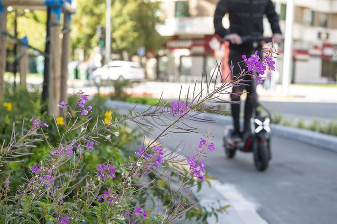 Archivo - Una persona circulando en patinete