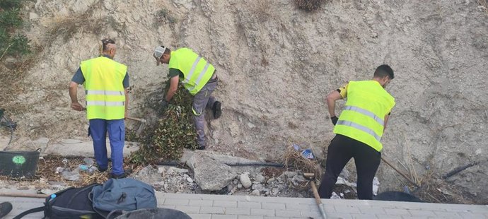 Tareas de limpieza en arcenes de Jaén.