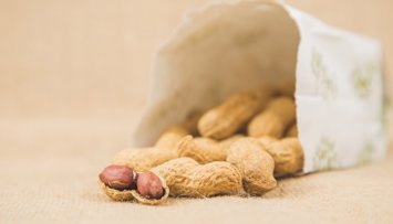 Nutrición