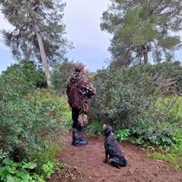 La veda de caza general se abre este lunes en Mallorca hasta el 10 de febrero: consulta el calendario completo.