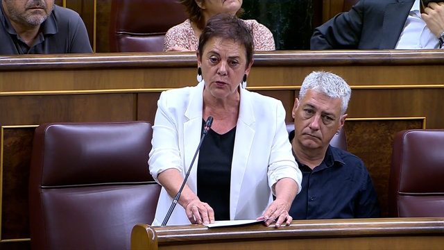 Mertxe Aizpurua no será candidata por EH Bildu al Congreso