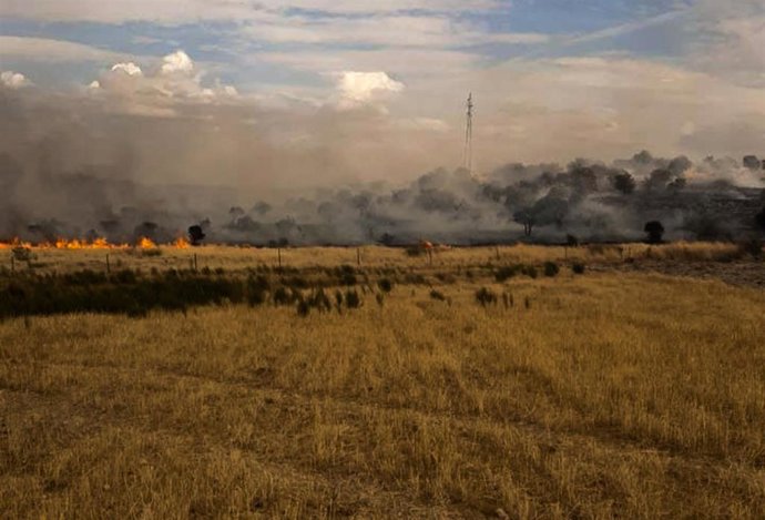 Imagen de un incendio forestal en Extremadura