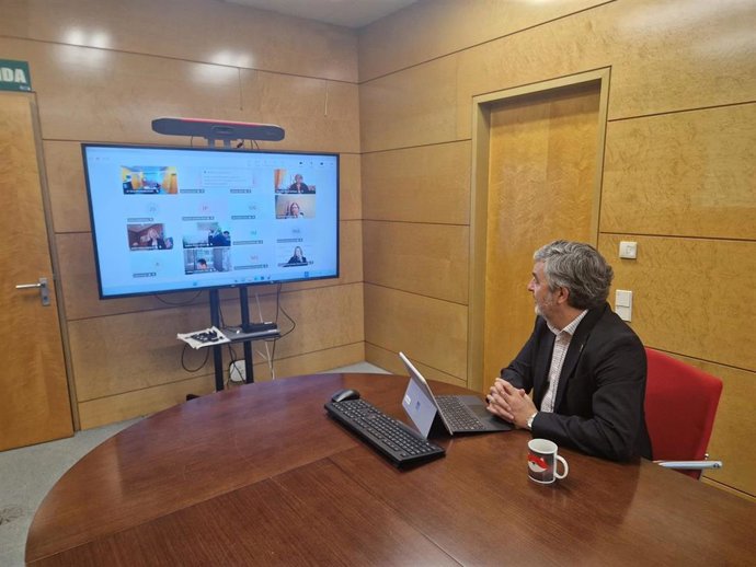 El consejero de Movilidad, Alejandro Calvo, en una reunión telemática.