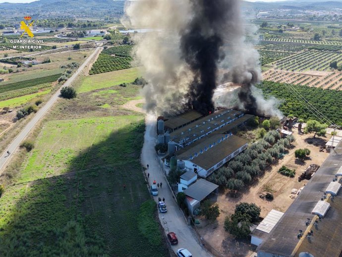 Imagen del incendio registrado en una granja porcina de la localidad valenciana de Benaguacil.