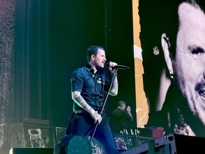 Imagen del concierto de Dani Martín en el Roig Arena, en València.