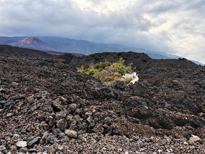 Zona de plataneras destruida por la lava del volcán de Tajogaite, en La Palma