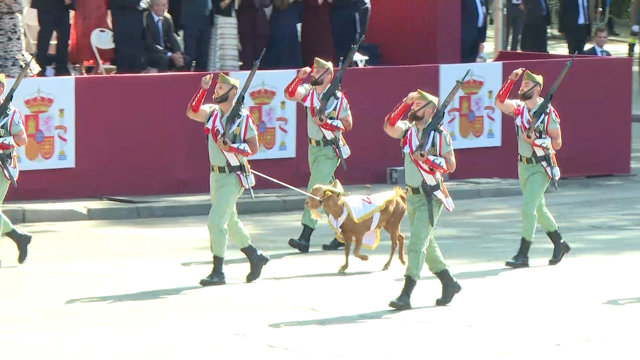 Babieca, la cabra de la Legión, participa en el desfile militar del 12 de octubr