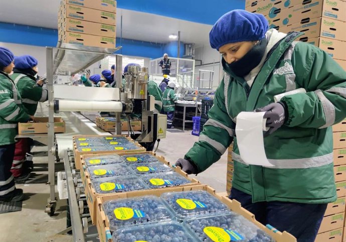 Archivo - Perú.- Exportaciones peruanas generan más de 1.5 millones de empleos directos