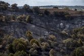 Foto: El Plan de Restauración de la Sierra Oeste será a 10 años vista, con especies autóctonas y gestión de montes privados