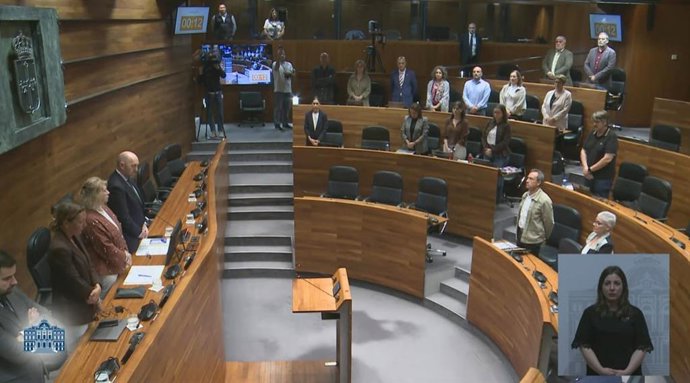 PSOE, IU-Convocatoria por Asturias y Covadonga Tomé guardan un minuto de silencio en memoria de Maricarmen mientras PP, Vox y Foro se ausentan del Hemiciclo.