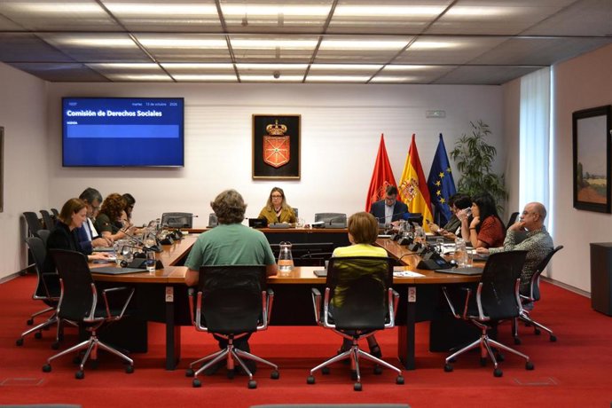 Comisión de Derechos Sociales del Parlamento de Navarra.