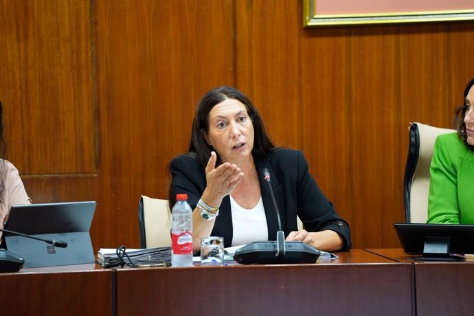 La consejera de Servicios Sociales, Familias e Igualdad, Loles López, en la comisión parlamentaria del 13 de octubre de 2026.