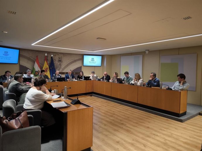 El consejero de Cultura, Turismo, Juventud y Deporte, José Luis Pérez Pastor, comparece en el Parlamento